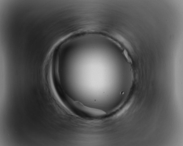 X0000092270973200709211134