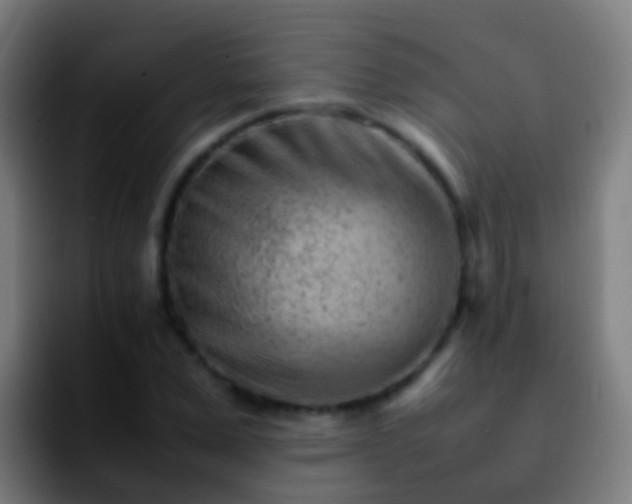 X0000092270975200709211134