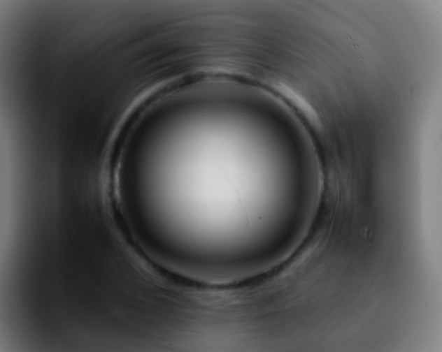 X0000092270976200709211134