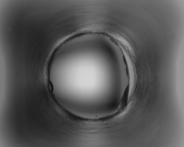 X0000092270981200709211134
