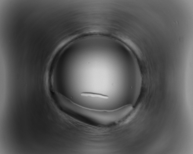 X0000092270983200709211134