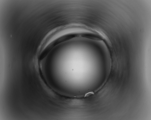 X0000092270984200709211134