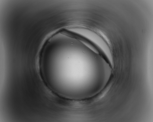 X0000092270987200709211134