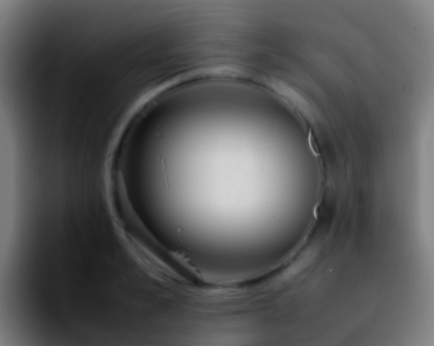 X0000092270989200709211134