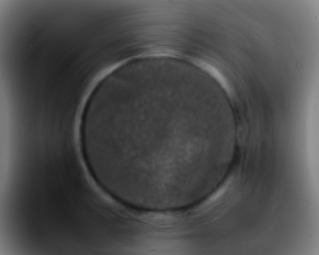 X0000092270995200709211134