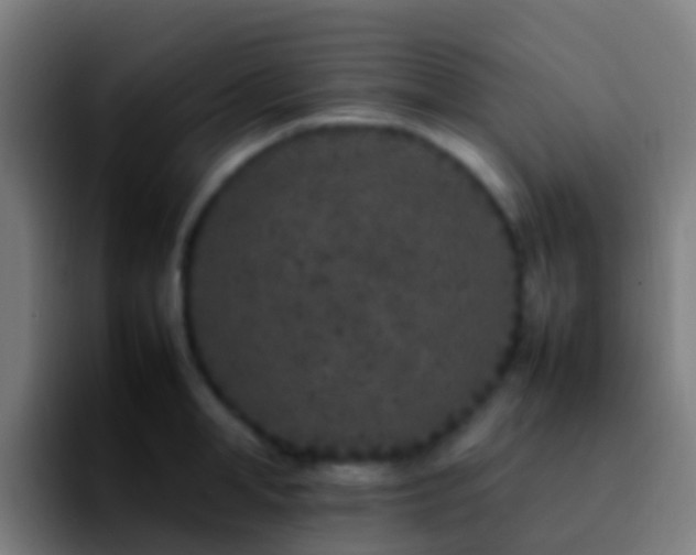 X0000092270998200709211134