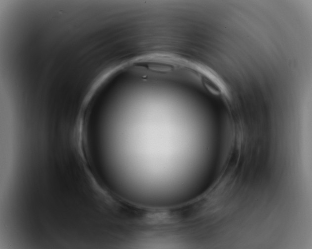X0000092271006200709211134