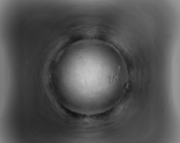 X0000092271009200709211133