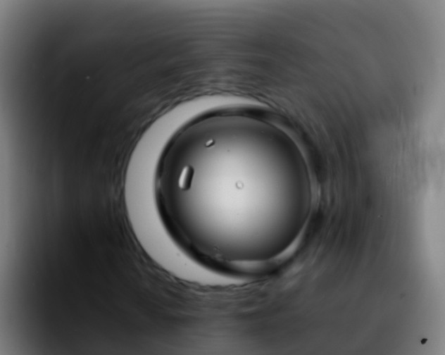 X0000092271010200709211133