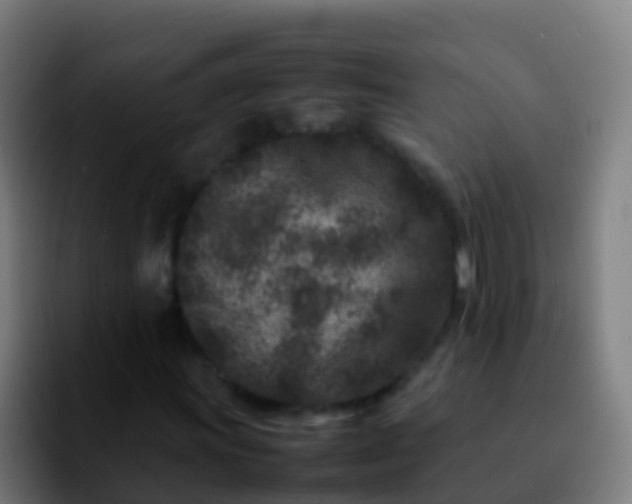 X0000092271011200709211133
