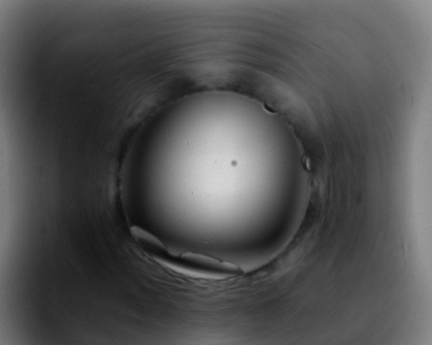 X0000092271012200709211133