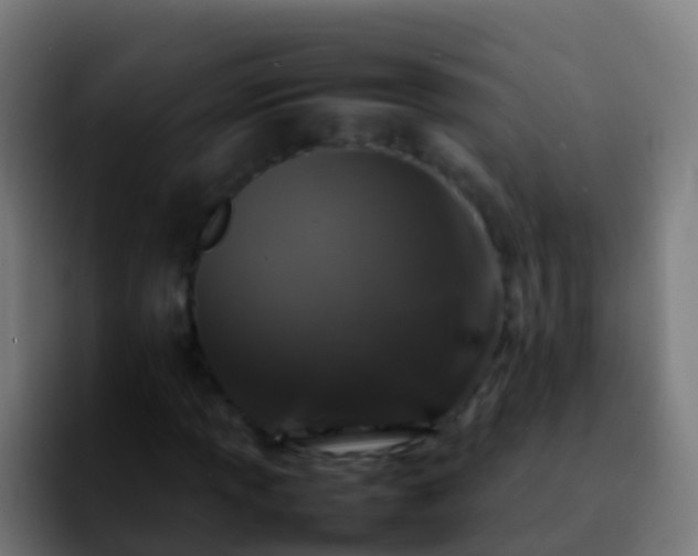 X0000092271013200709211133