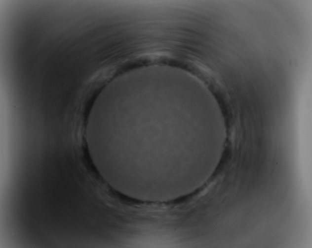 X0000092271014200709211133