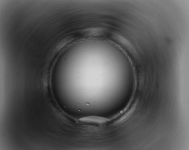 X0000092271017200709211133