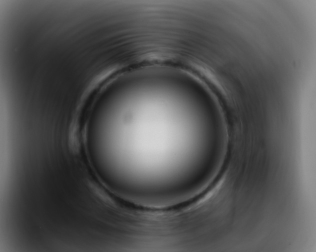 X0000092271018200709211133