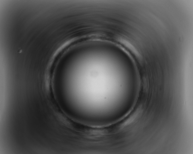 X0000092271021200709211133