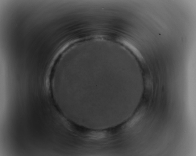 X0000092271023200709211133