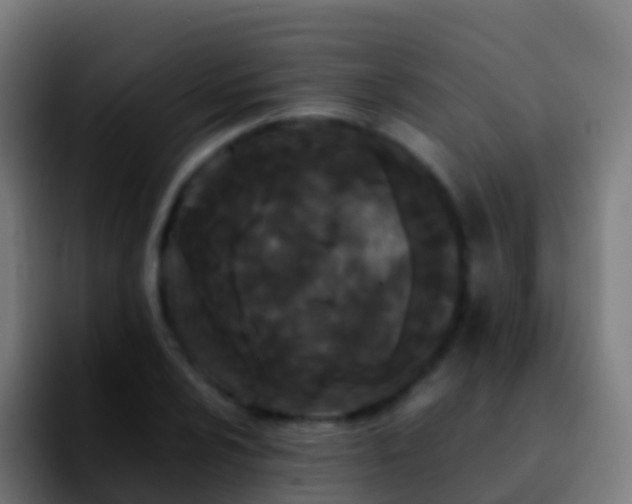 X0000092271024200709211133