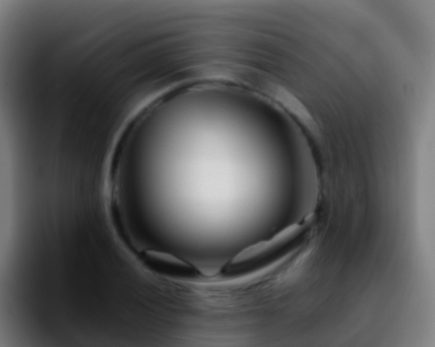 X0000092271028200709211133