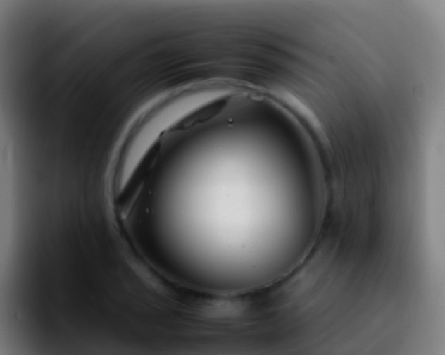 X0000092271029200709211133