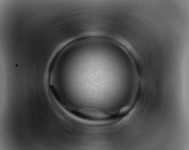 X0000092271030200709211133