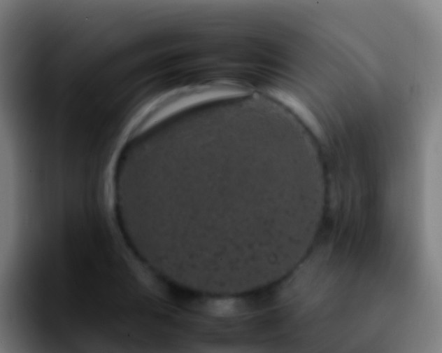 X0000092271031200709211133