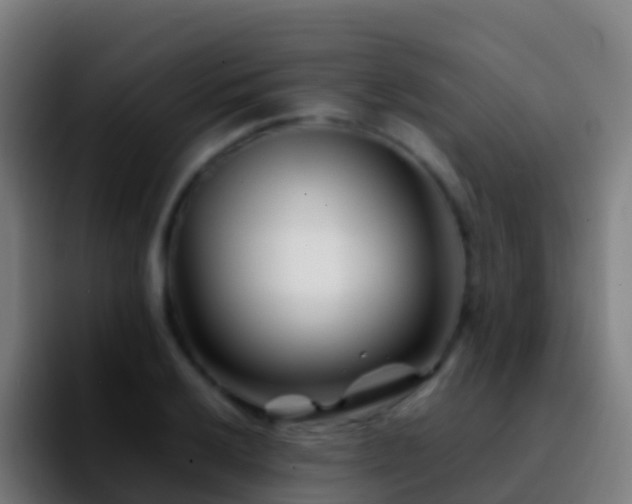 X0000092271032200709211133
