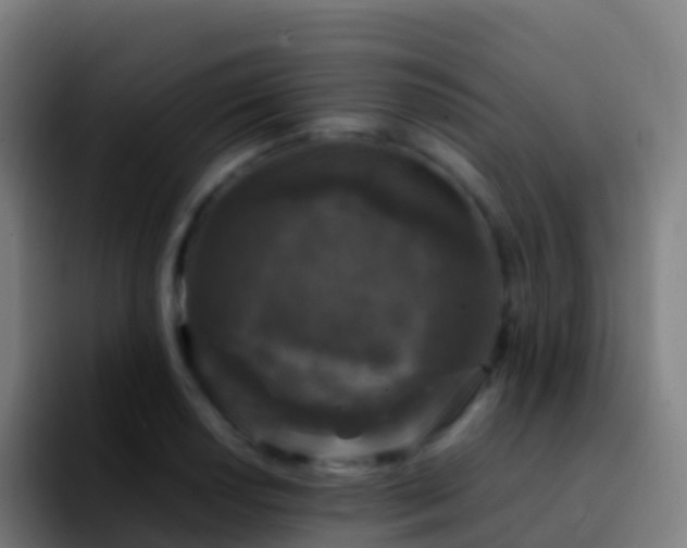X0000092271034200709211133