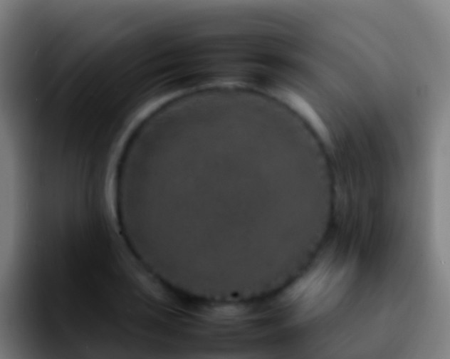 X0000092271035200709211133