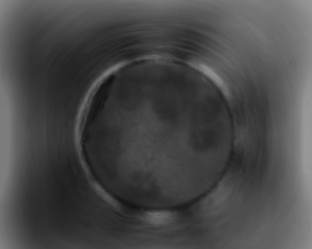 X0000092271037200709211133