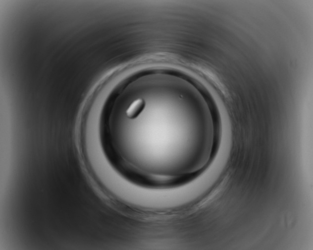 X0000092271038200709211133