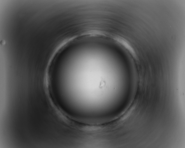 X0000092271040200709211133