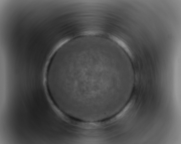X0000092271042200709211133