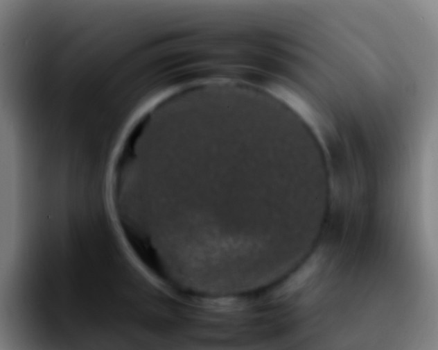 X0000092271045200709211133