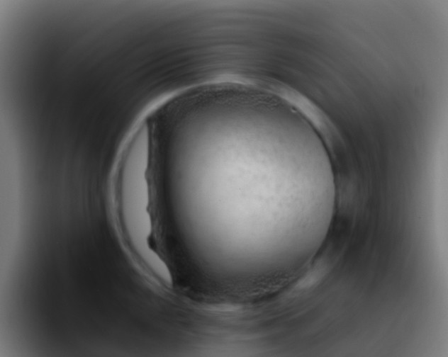 X0000092271048200709211133