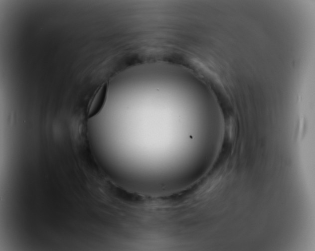 X0000092271059200709211133