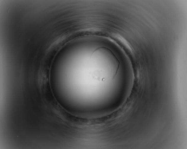X0000092271064200709211133