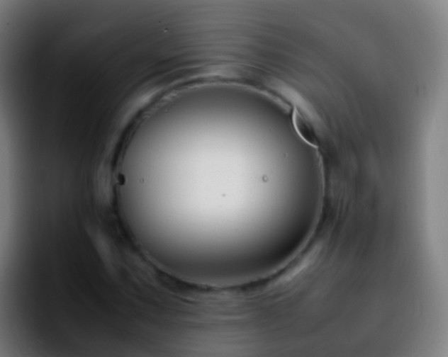 X0000092271067200709211133