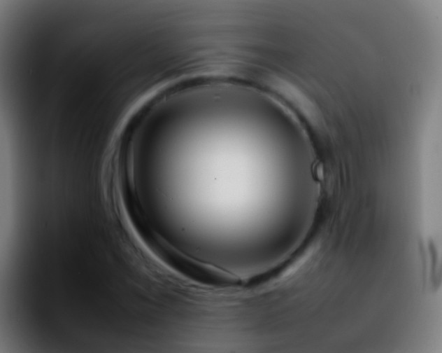 X0000092271069200709211133