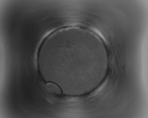 X0000092271071200709211133