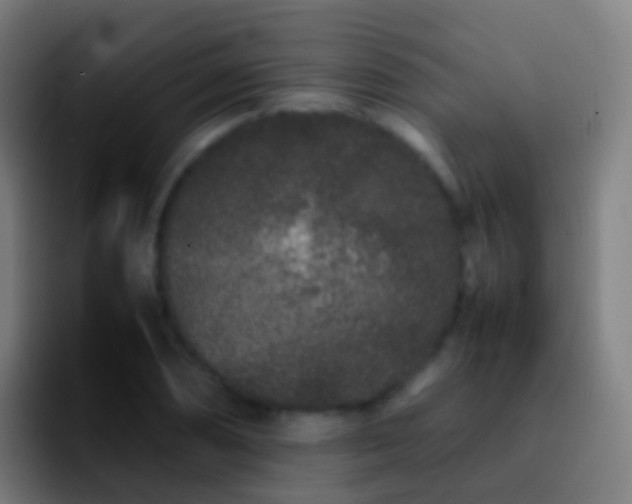 X0000092271074200709211133