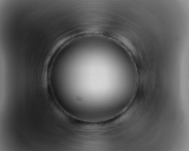 X0000092271075200709211133