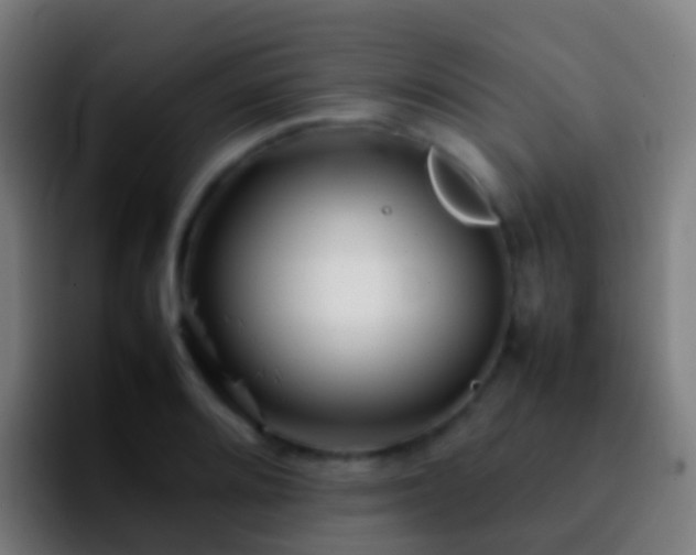 X0000092271080200709211133