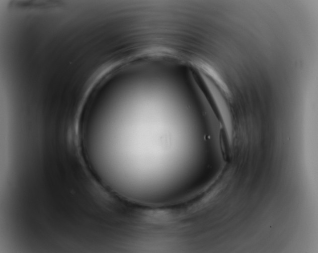 X0000092271082200709211133