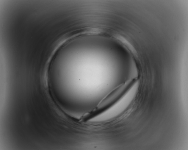 X0000092271083200709211133