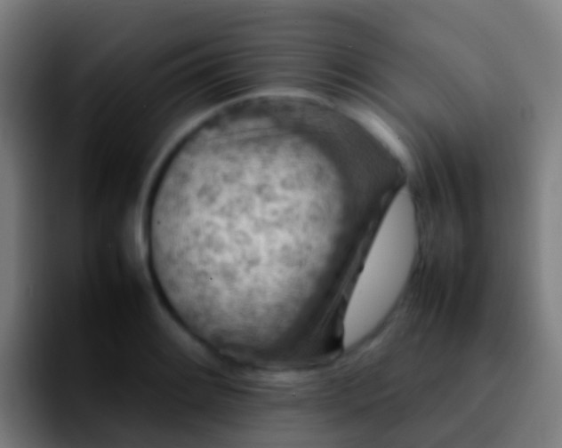 X0000092271084200709211133