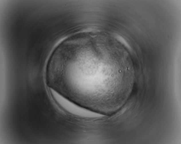 X0000092271087200709211133