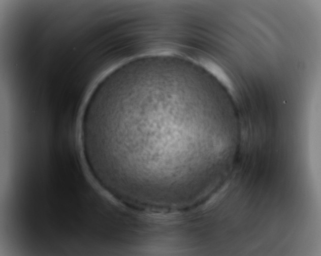 X0000092271088200709211133