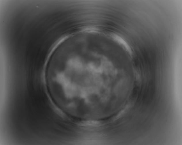 X0000092271090200709211133