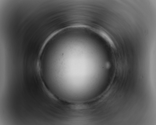 X0000092271092200709211133